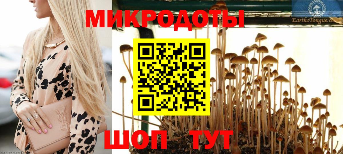 дарнет шоп  Галлюциногенные грибы Psilocybine cubensis  Вход с VPN  Отрадное 